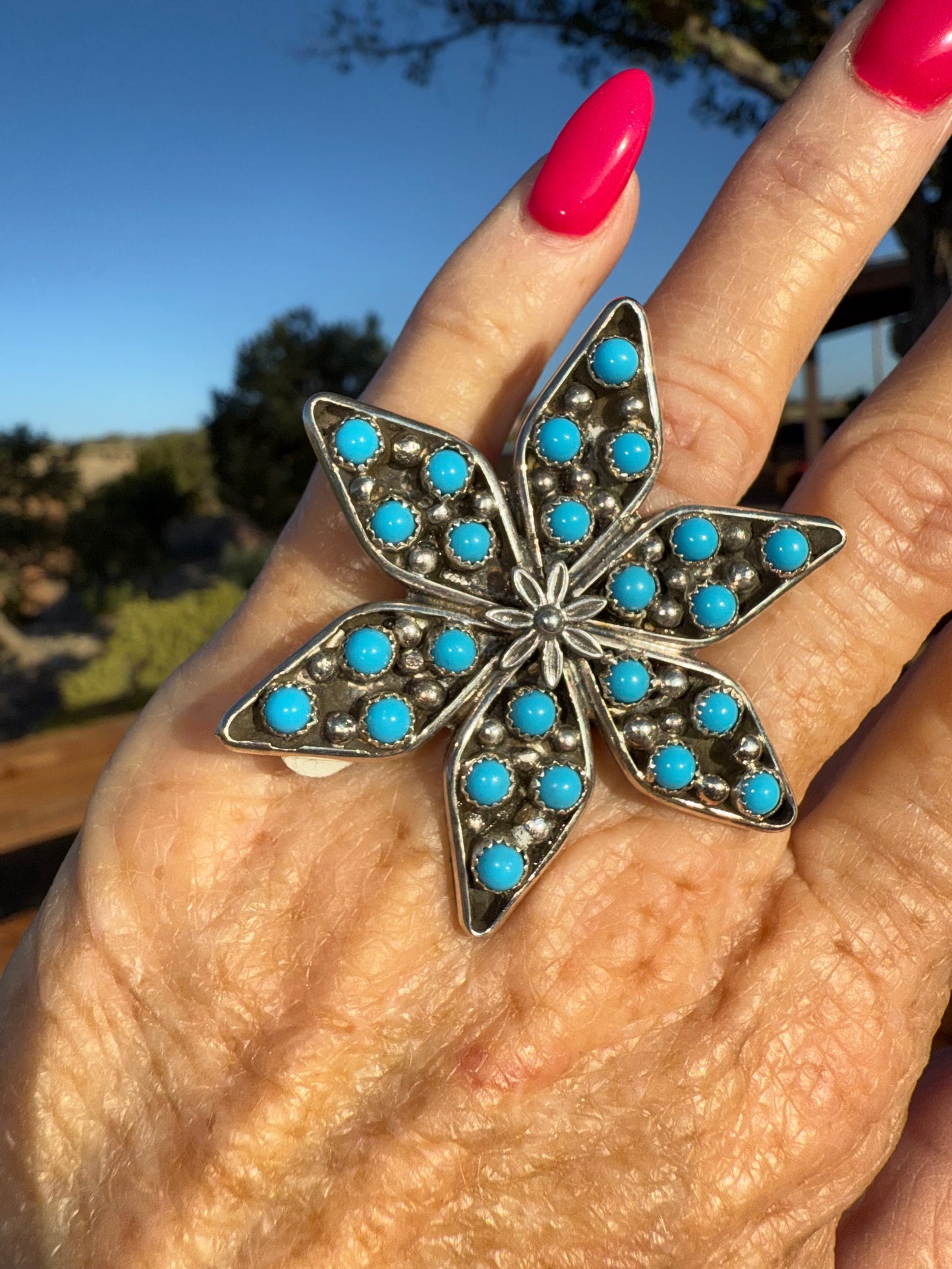 Navajo Sterling Size Adjustable Ring By Francisco